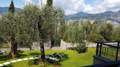 Apartamento Callalillyjardin
