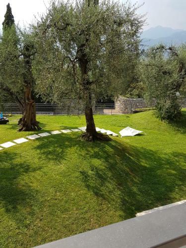 Apartamento Callalillyjardin