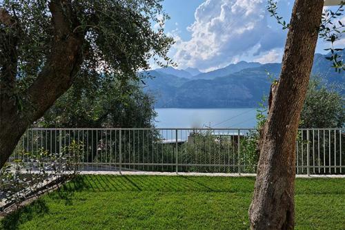 Luxury Apartments Natura