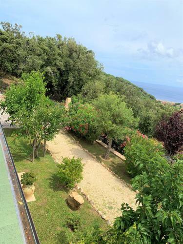 Villa Borgo Dell'uccellaia - Turchese