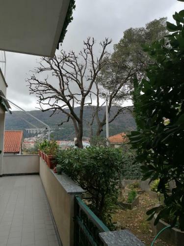 Casa Dana Andora