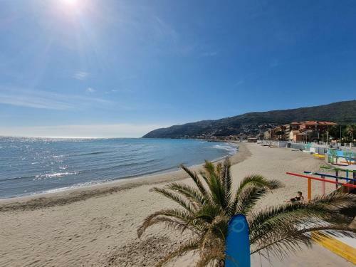 Bbking Mimosa Casa Vacanze