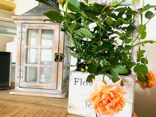 Apartamento La Chicca