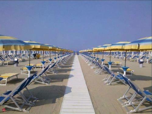 Apartamento La Conchiglia A Marina