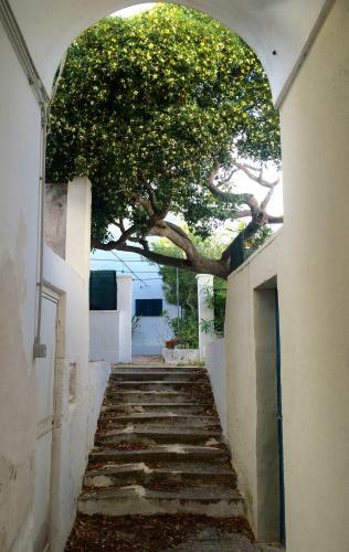 Casa Bice Tricase