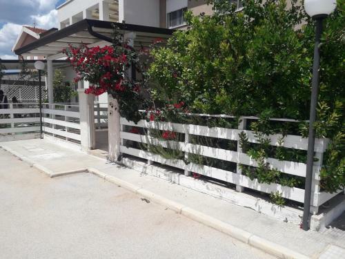 Residence Rosa