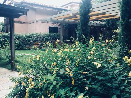 Apartamento Cocciopestorooms