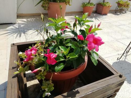 Apartamento Villa Lucia