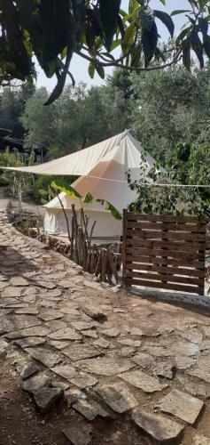 Luxury Glamping Tent On Acquaviva