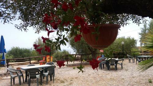 Country Bellavista
