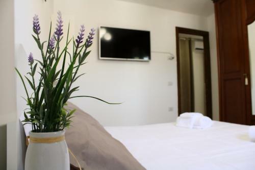 Bed & Breakfast Cilentoeasyrooms