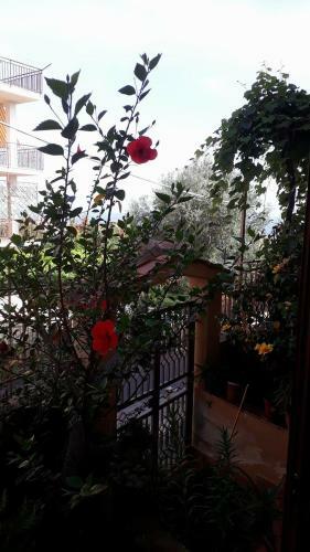 Casa Vacanze Filomena