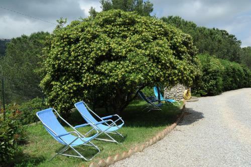 Apartamento Appartamenti Serenity