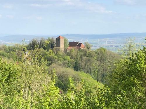 Apartamento Ferienwohnung Waldruhe