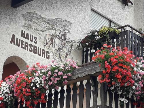 Apartamento Haus Auersburg