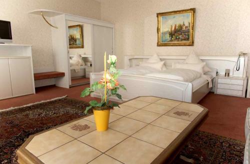 Hostal Hotel Harzer Am Kurpark