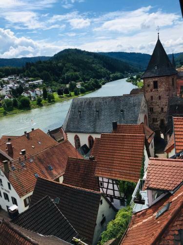 Apartamento Neckarblick,natur, Altstadt
