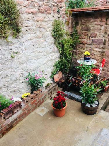 Apartamento Neckarblick,natur, Altstadt