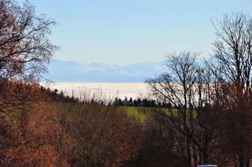 Apartamento Haus Alpensonne