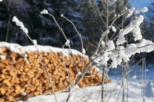 Apartamento Hus Im Schwefelm�ttle, Hinterzarten