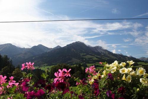 Apartamentos Haus Edelwei�