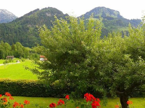 Apartamento Haus Sch�ll