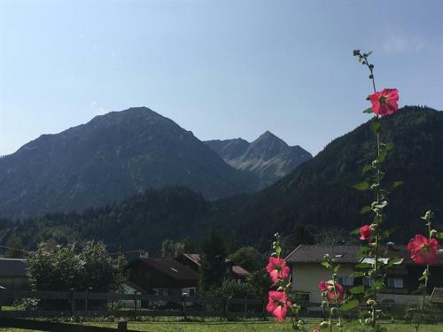 Apartamentos Haus K�lbl