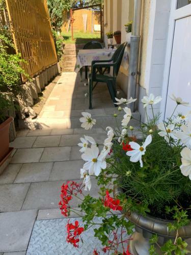 Hostal Pension Goldener Drache