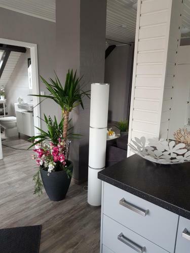 Apartment Elegance
