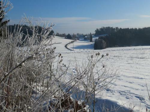 Ferienhaus Waldblick