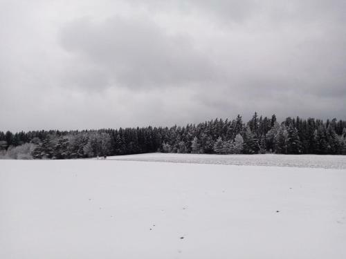 Ferienhaus Waldblick