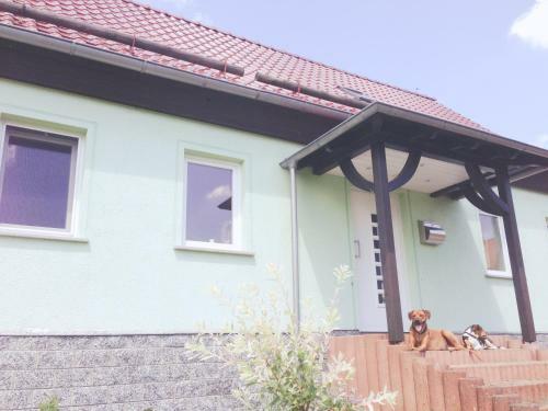 Das Ferienhaus