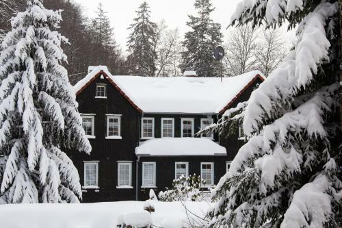 Hotel Waldhaus Wolfsbachm�hle