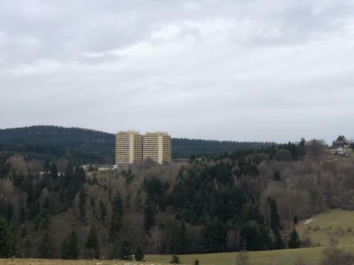Apartamento Ferienwohnung Harz-flair 264