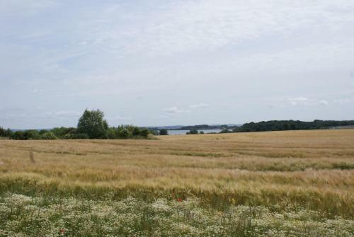 Apartamento Ostsee-ferienwohnung Seem�we - Abc180