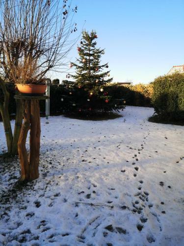 Gro�es Ferienhaus