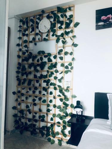 Apartamento Ca? Fernando Y Mery