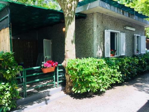 Camping Nuovo