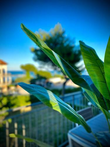 Apartamento La Marinella
