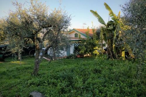 Casa Il Banano