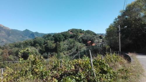 Casa Greta