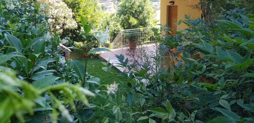 Casa Lia
