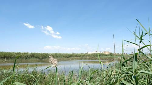 Hostal Le Saline Rooms Marzamemi