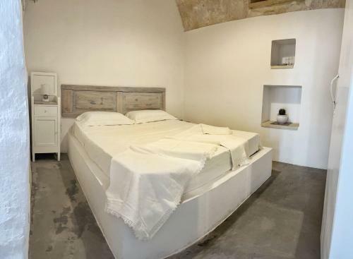 Radici Suite