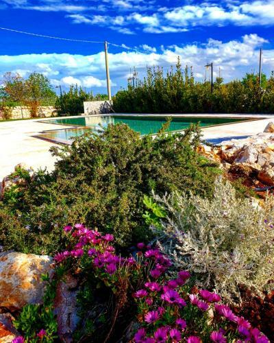 Trulli Pax Animi