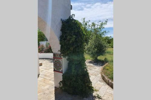 Trulli Relax A Martina Franca