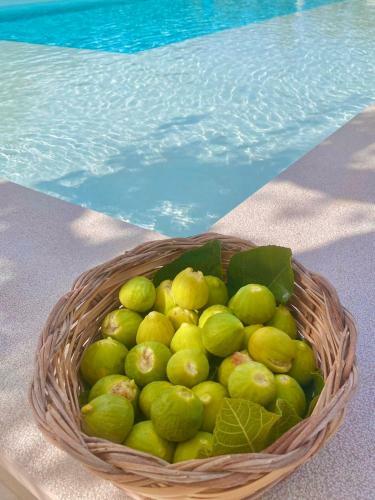 Milacus- Holiday Home With Swimming Pool