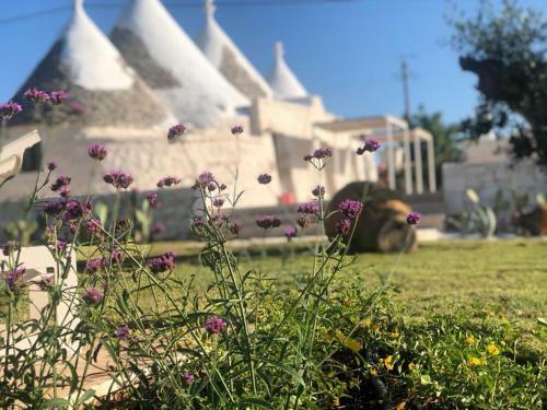 Trulli Terralunga