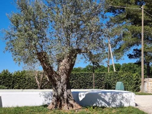 I Trulli Di Nonno Ernesto Trulli Piscina E Relax