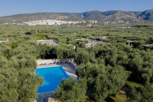 Ferienwohnung Ulivo Mit Pool Und Privatstrand